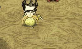 �����ġ�����װ����ʳ����������_��վ