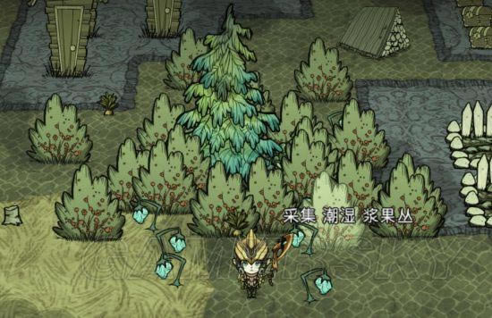 �����ǿ�