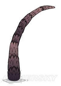 �����ġ����Ѻ����ٻ��������򷨽�������ͼ�Ľ���