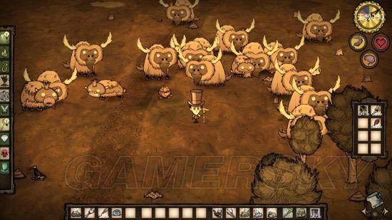 �����ǿ�