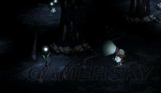 �����ǿ�