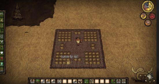 �����ǿ�