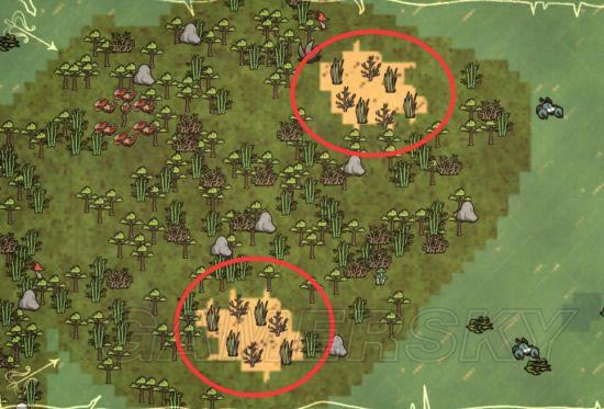 �����ǿ�