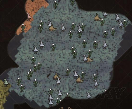 �����ǿ�