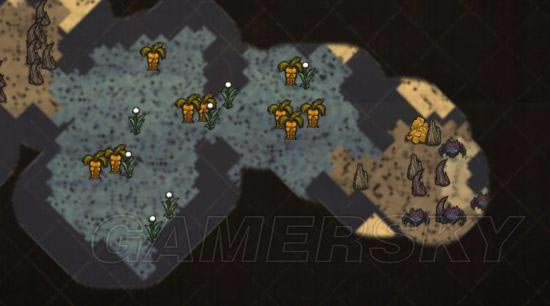 �����ǿ�