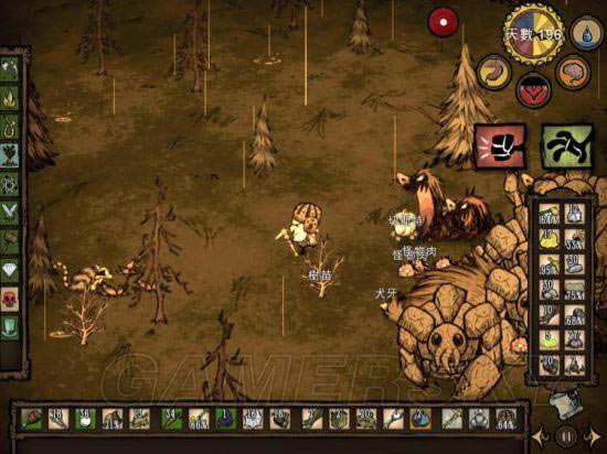 �����ǿ�