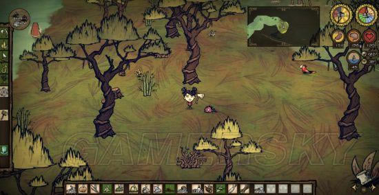 �����ǿ�