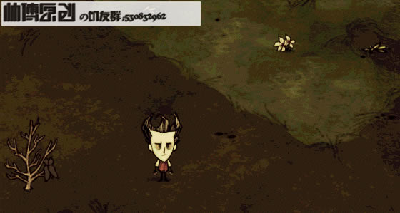 �����ǿ�