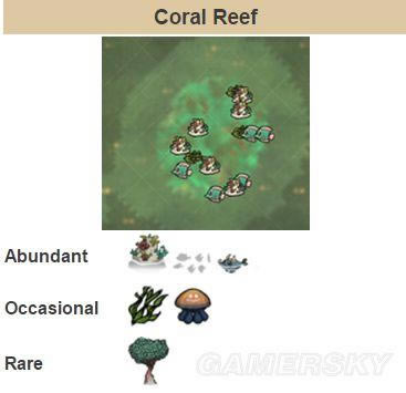 �����ǿ�