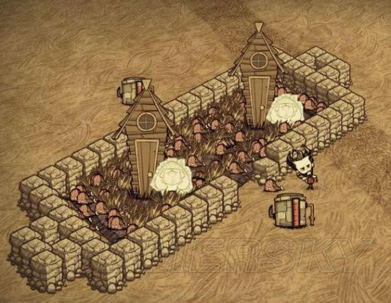 �����ǿ�