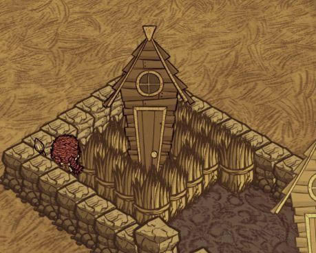 �����ǿ�