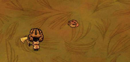 �����ǿ�