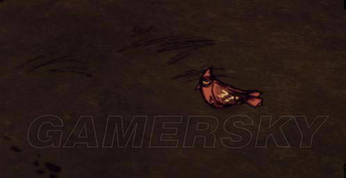 �����ǿ�