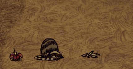 �����ǿ�