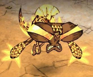 �����ǿ�