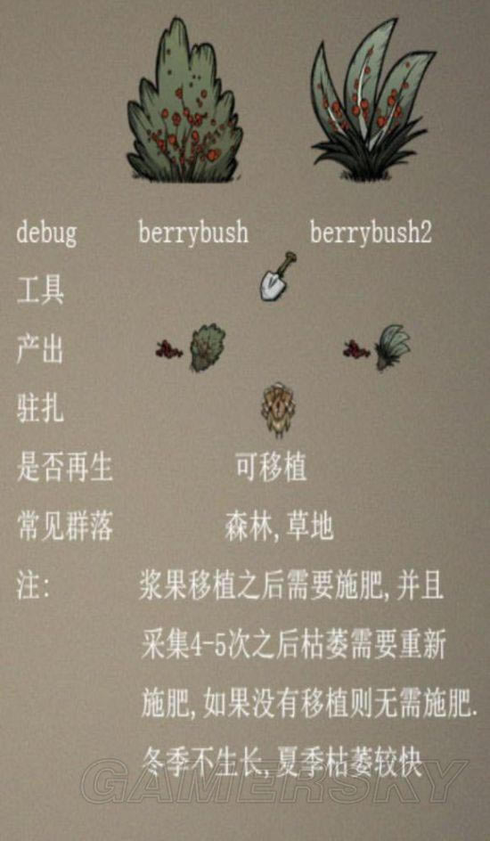 �����ǿ�