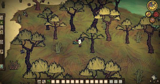 �����ǿ�