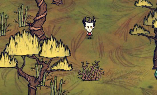 �����ǿ�