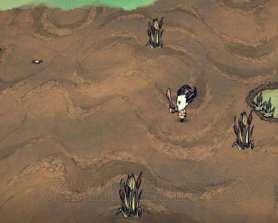 �����ǿ�