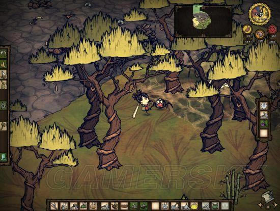 �����ǿ�