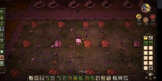 �����ǿ�