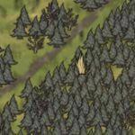 �����ǿ�