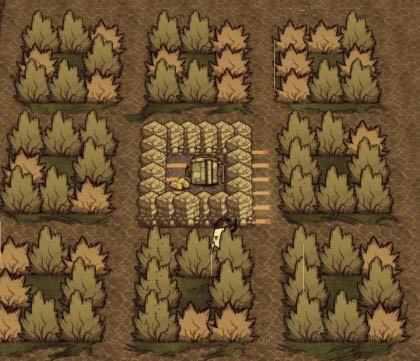 �����ǿ�