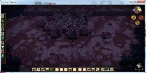 �����ǿ�