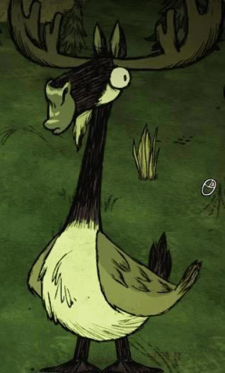 �����ǿ�