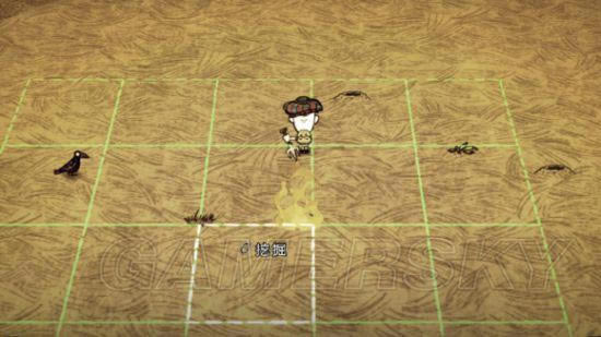 �����ǿ�