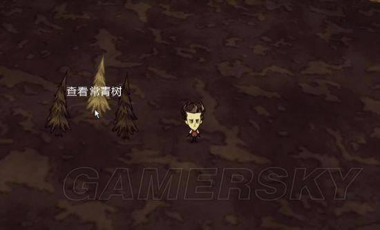 �����ǿ�