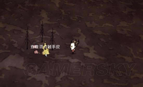 �����ǿ�