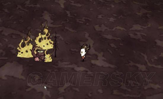 �����ǿ�