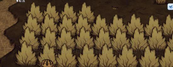 �����ǿ�