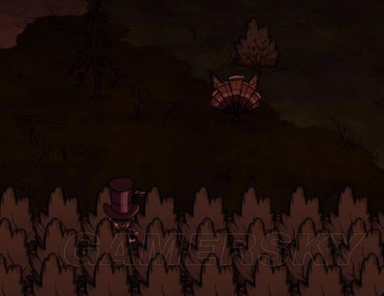 �����ǿ�