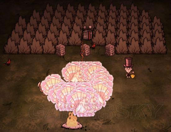 �����ǿ�