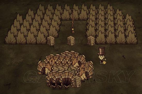 �����ǿ�