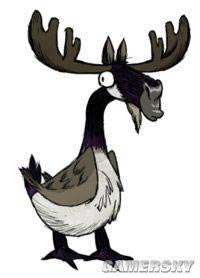 �����ǿ�