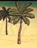 �����ǿ�