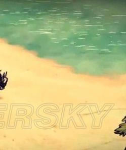 �����ǿ�