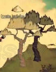 �����ǿ�