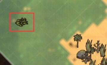 �����ǿ�