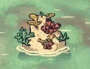 �����ǿ�