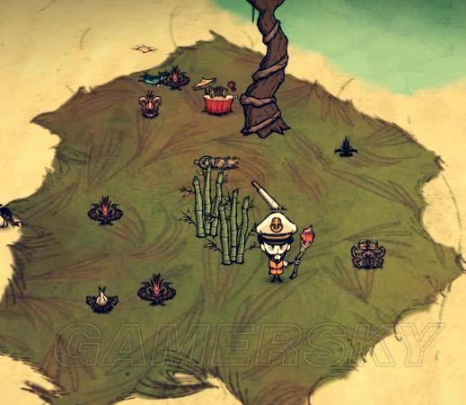 �����ǿ�