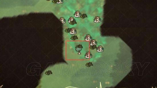 �����ǿ�