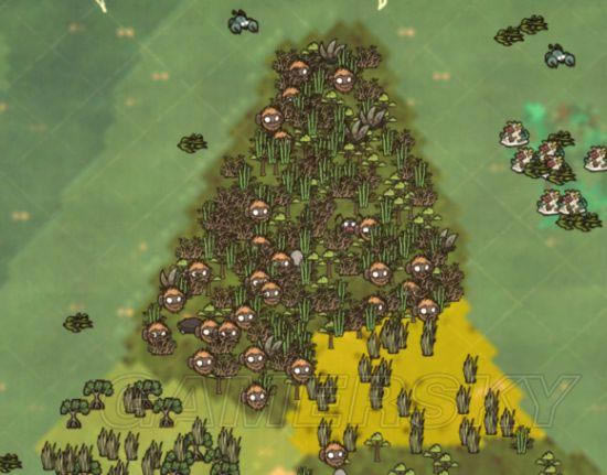 �����ǿ�