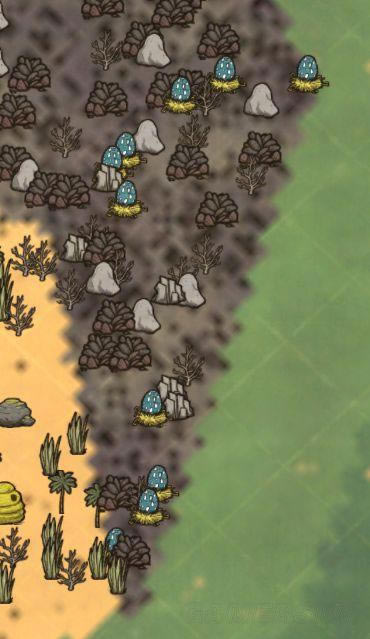 �����ǿ�