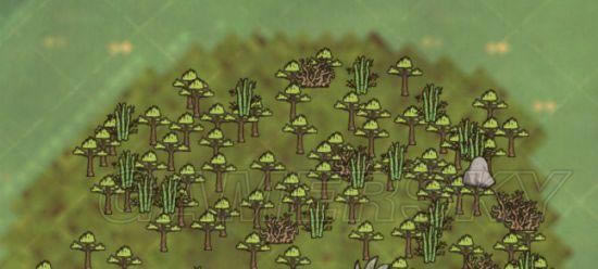 �����ǿ�