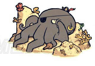 �����ǿ�