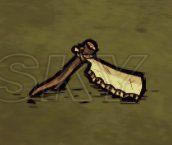 �����ǿ�